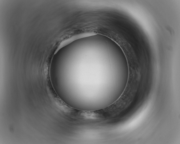 X0000111890767200907231556
