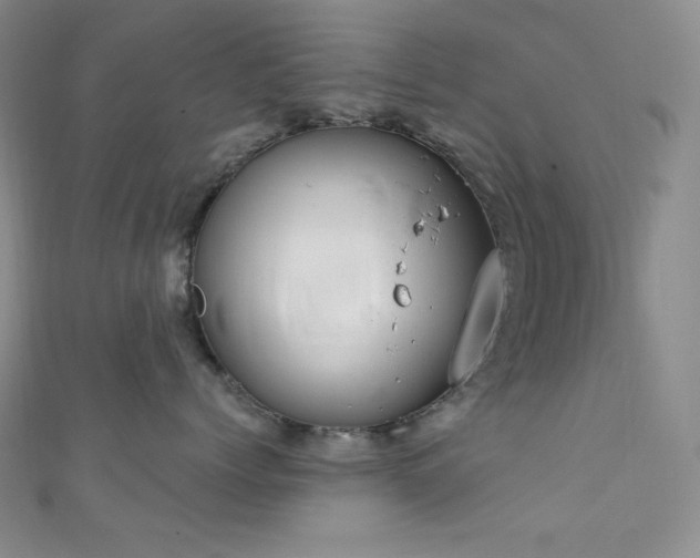 X0000111890768200907231556