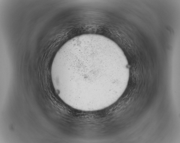 X0000111890769200907231555