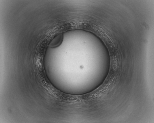 X0000111890770200907231555