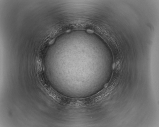 X0000111890772200907231555