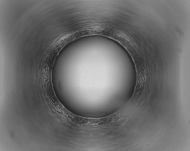 X0000111890773200907231555