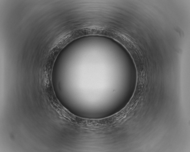 X0000111890774200907231555