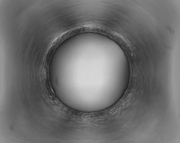 X0000111890776200907231555