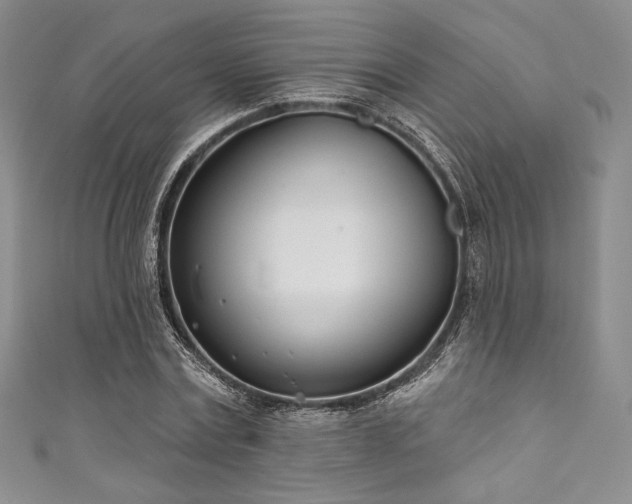 X0000111890779200907231555