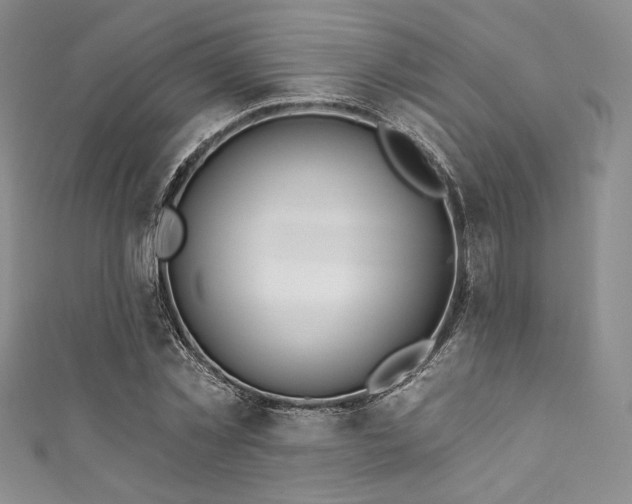 X0000111890781200907231555