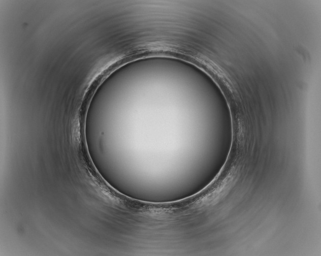 X0000111890782200907231555