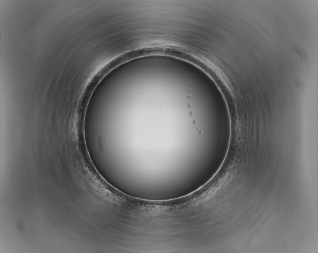 X0000111890783200907231555
