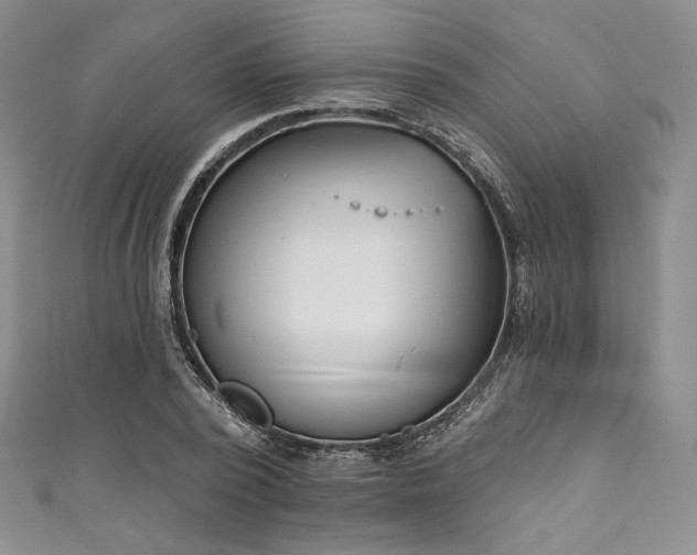 X0000111890784200907231555