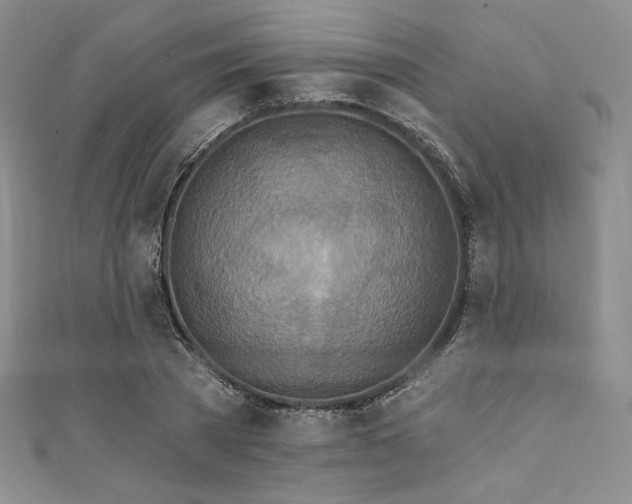 X0000111890785200907231555