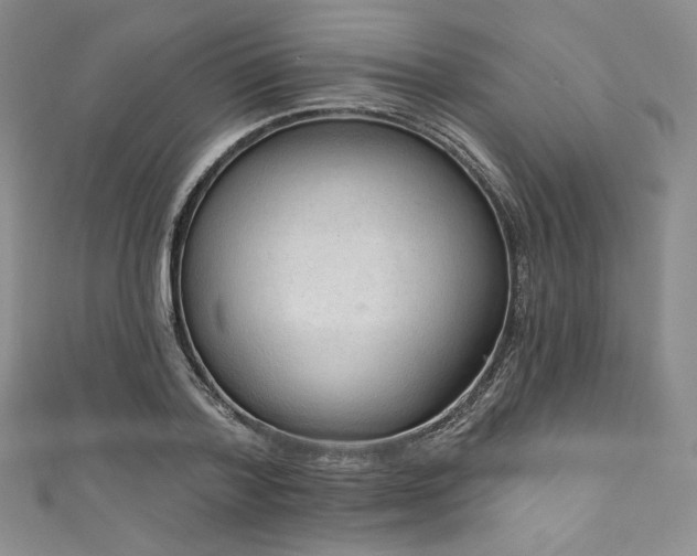 X0000111890788200907231555