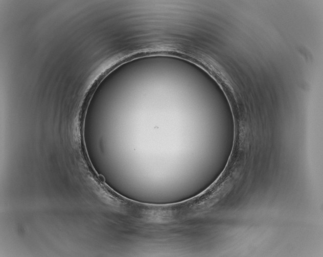 X0000111890789200907231555