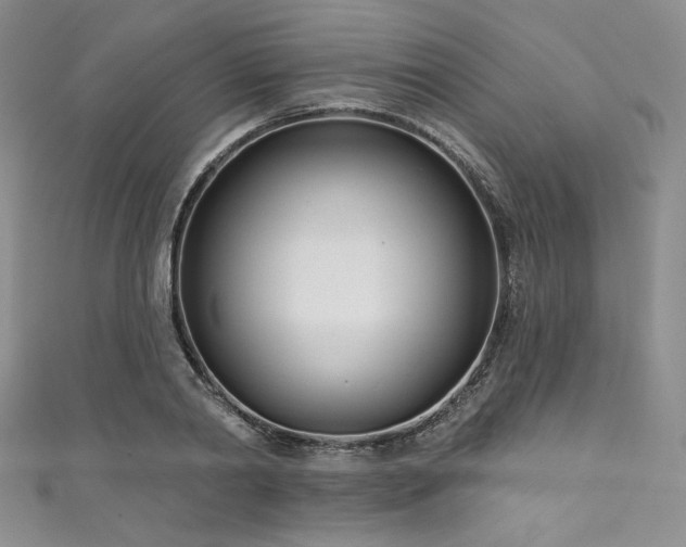X0000111890790200907231555