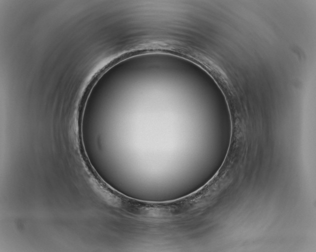X0000111890792200907231555