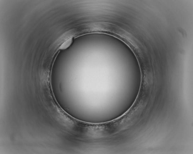 X0000111890793200907231555