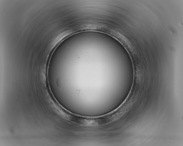 X0000111890794200907231555