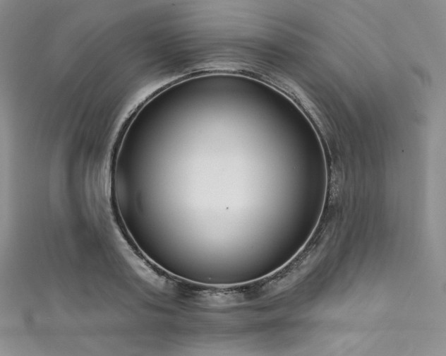 X0000111890795200907231555