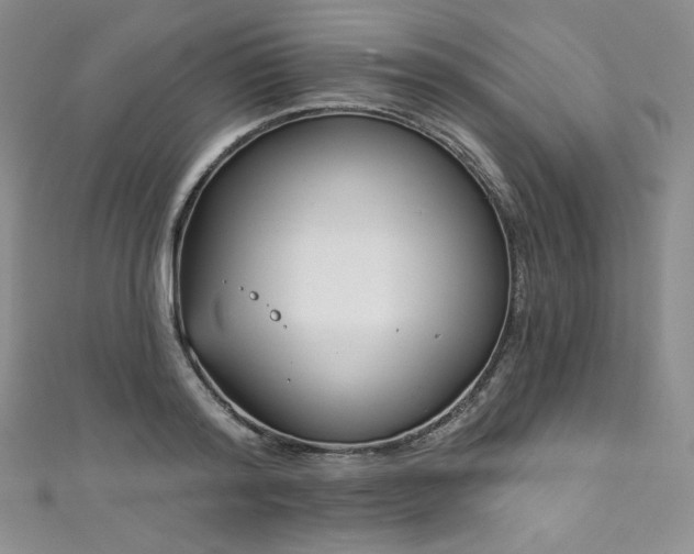 X0000111890796200907231555