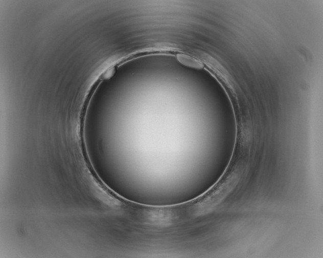 X0000111890797200907231555