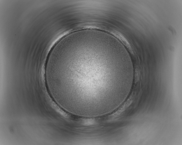 X0000111890798200907231555