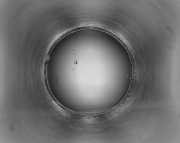 X0000111890799200907231555