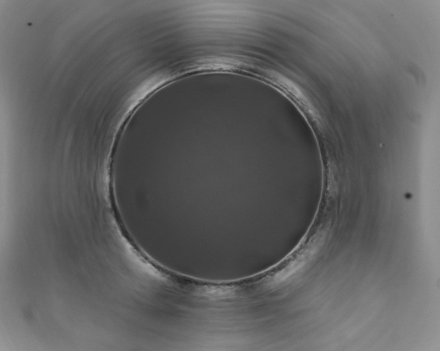 X0000111890802200907231555