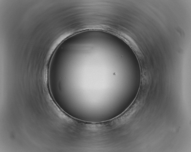 X0000111890804200907231555