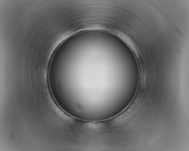 X0000111890805200907231555