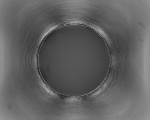 X0000111890806200907231555