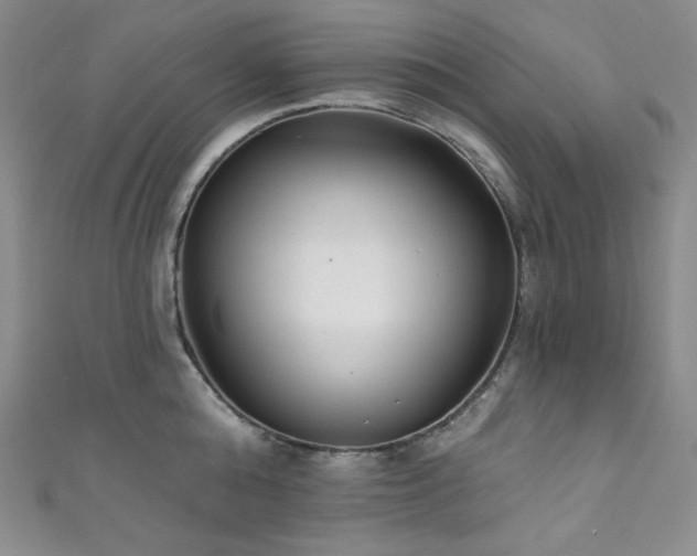 X0000111890808200907231555