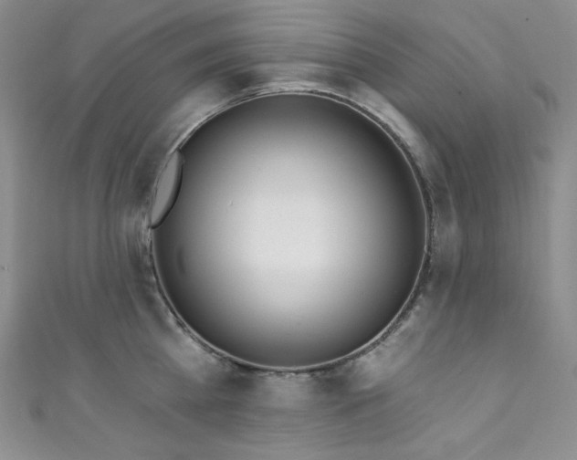 X0000111890809200907231555