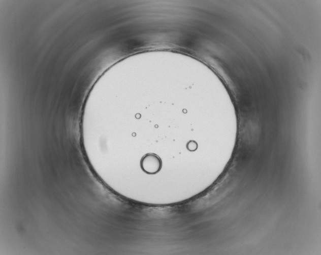 X0000111890810200907231555