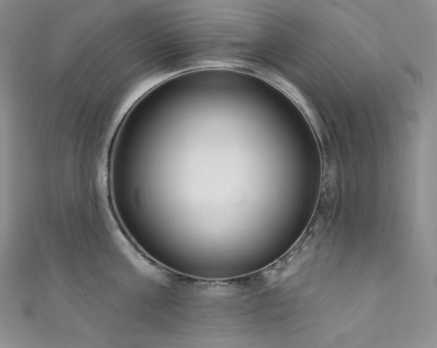 X0000111890811200907231555