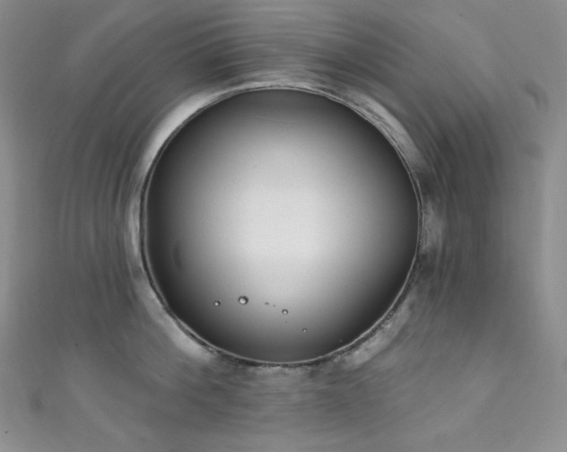 X0000111890812200907231555