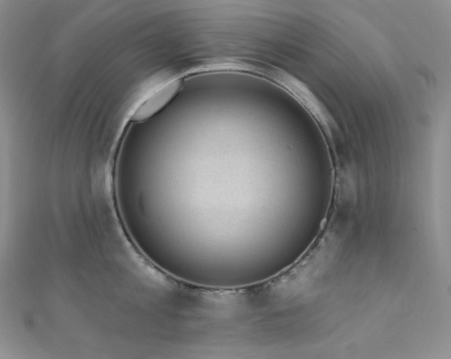 X0000111890813200907231555