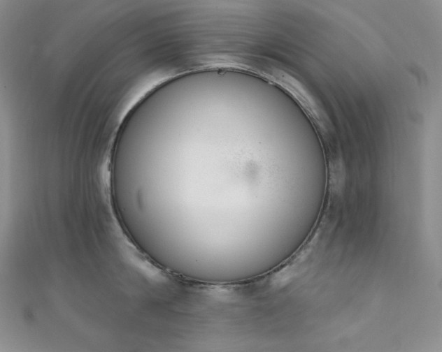X0000111890814200907231555