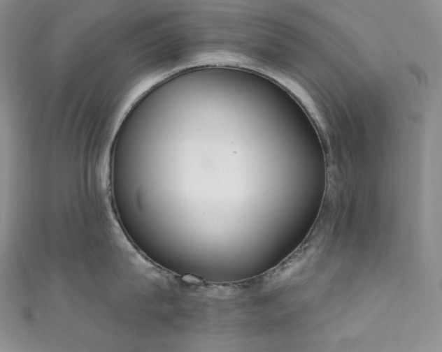X0000111890815200907231555
