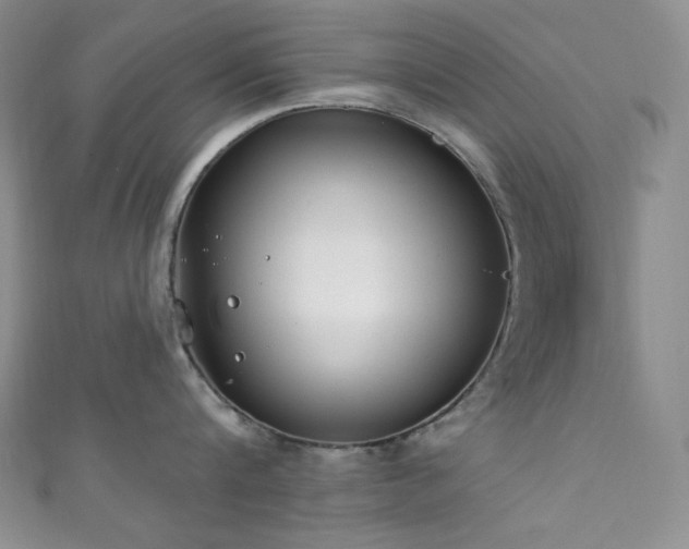 X0000111890816200907231555