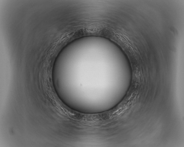 X0000111890817200907231554