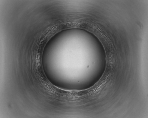 X0000111890818200907231554