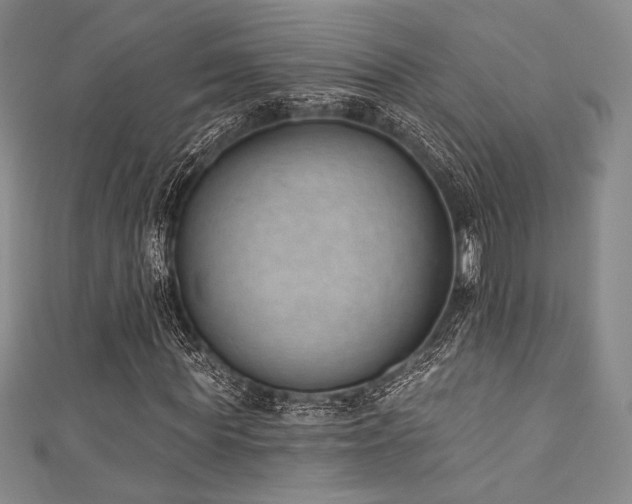 X0000111890819200907231554