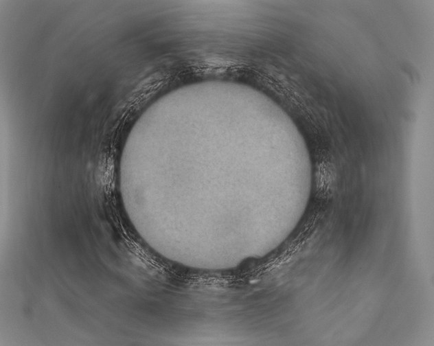 X0000111890820200907231554