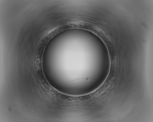 X0000111890822200907231554
