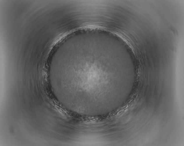 X0000111890823200907231554