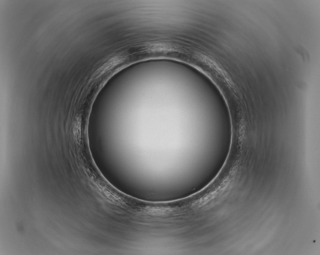 X0000111890825200907231554
