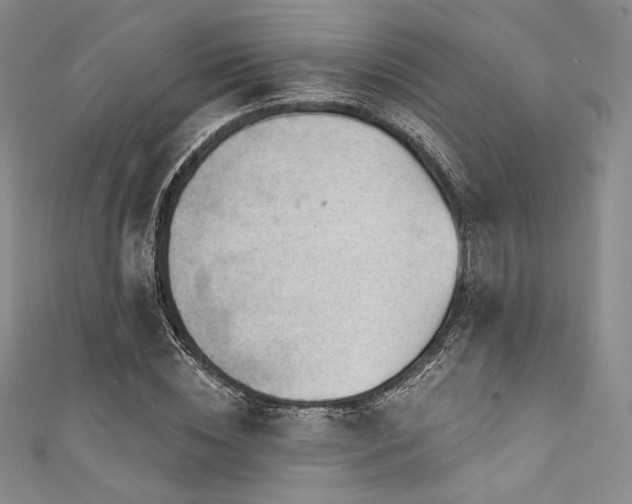 X0000111890828200907231554