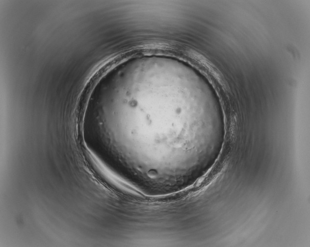 X0000111890829200907231554