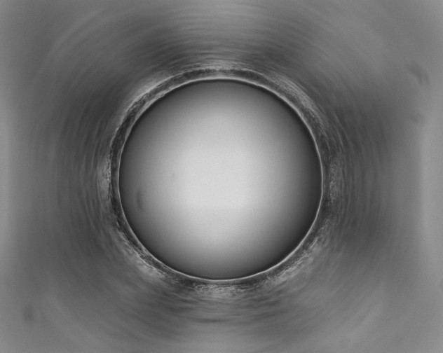 X0000111890831200907231554