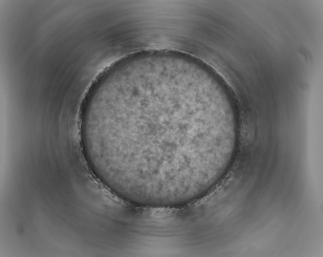 X0000111890832200907231554