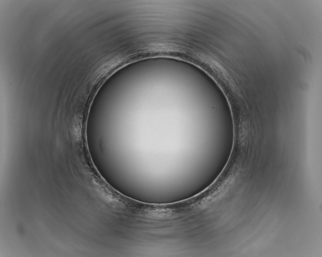 X0000111890833200907231554